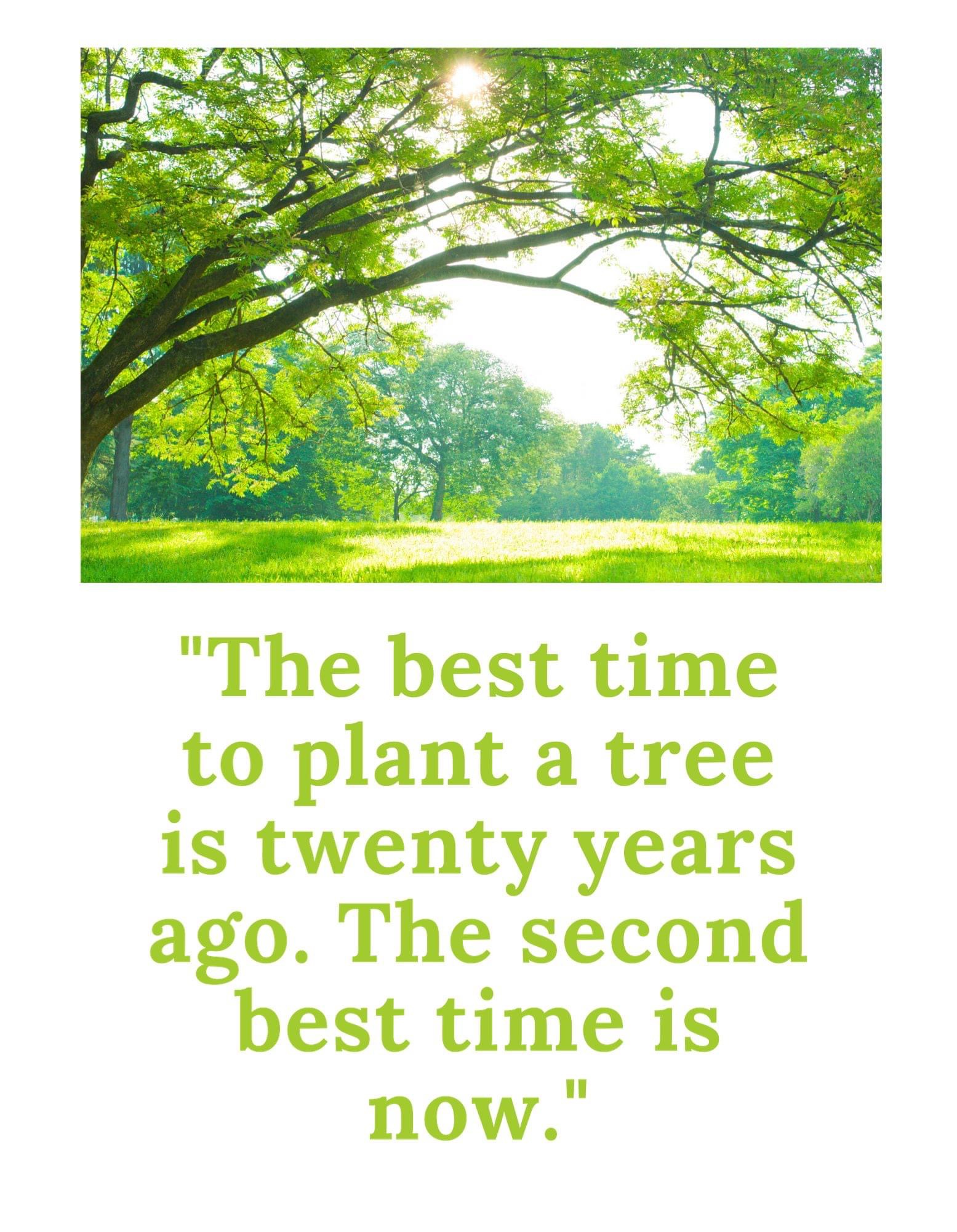 Gardening Quotes