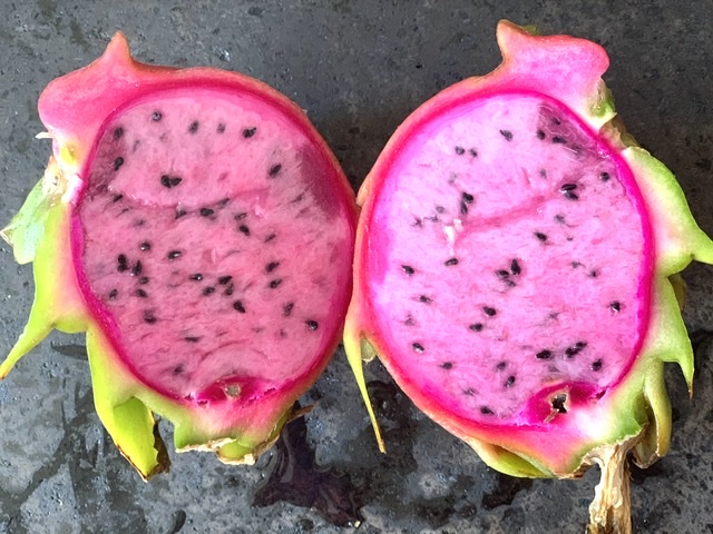 Dragon Fruit Pink - Physical Graffiti