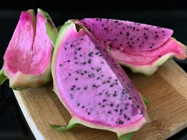 Edgar’s baby dragon fruit