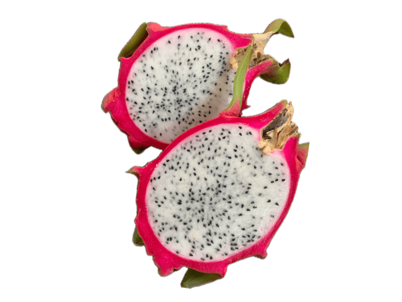 Giant White Jaina Dragon Fruit