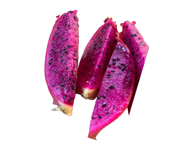 Voodoo Child Self Fertile Dragon Fruit